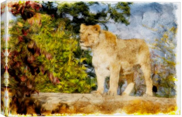 Regal Lioness on the Prowl Canvas Print by Luigi Petro