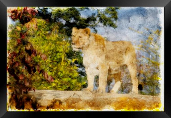 Regal Lioness on the Prowl Framed Print by Luigi Petro