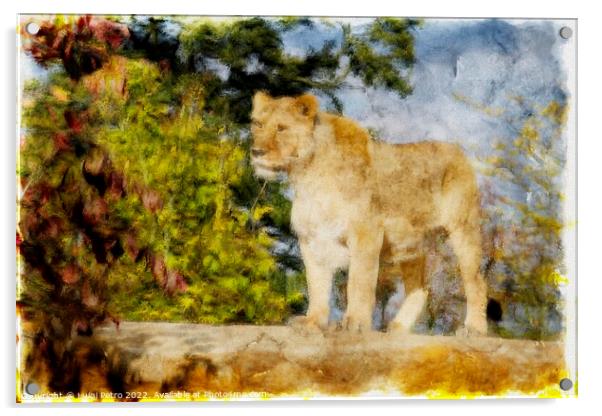 Regal Lioness on the Prowl Acrylic by Luigi Petro