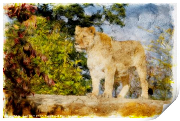 Regal Lioness on the Prowl Print by Luigi Petro