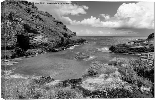 Tintagel Bay monochrome Canvas Print by Graham Moore