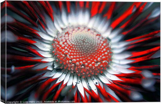 Abstract blurred close-up of a flower. Canvas Print by Luigi Petro