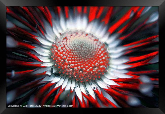 Abstract blurred close-up of a flower. Framed Print by Luigi Petro