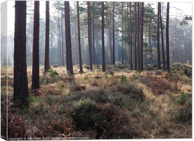 The New Forest Canvas Print by Nik Taylor