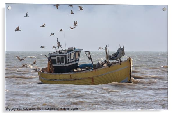 gulls follow incoming fishing boat Acrylic by Sally Wallis