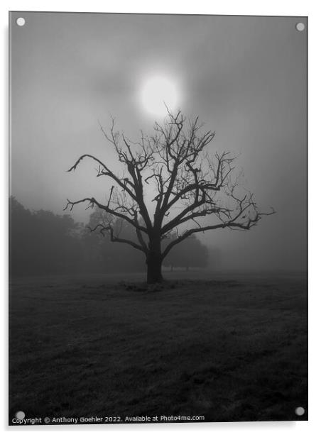 The lone tree Acrylic by Anthony Goehler