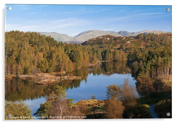 Tarn howe Acrylic by david rodgers