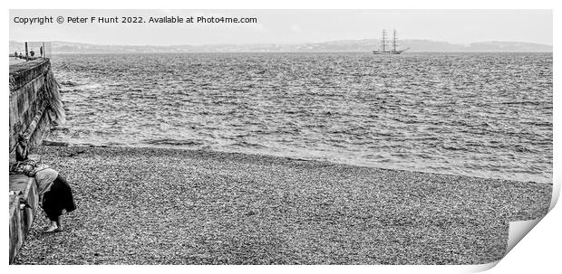 Tall Ship In The Bay Print by Peter F Hunt