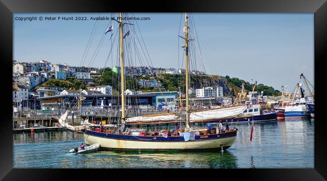 The Tall Ship Maybe In Brixham Harbour Framed Print by Peter F Hunt