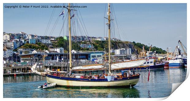 The Tall Ship Maybe In Brixham Harbour Print by Peter F Hunt