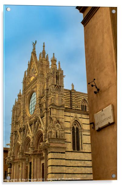 Duomo di Siena Acrylic by Paul Pepper