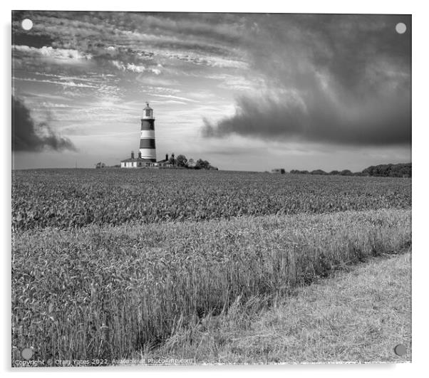 Happisburgh Lighthouse Norfolk Black and White Acrylic by Craig Yates