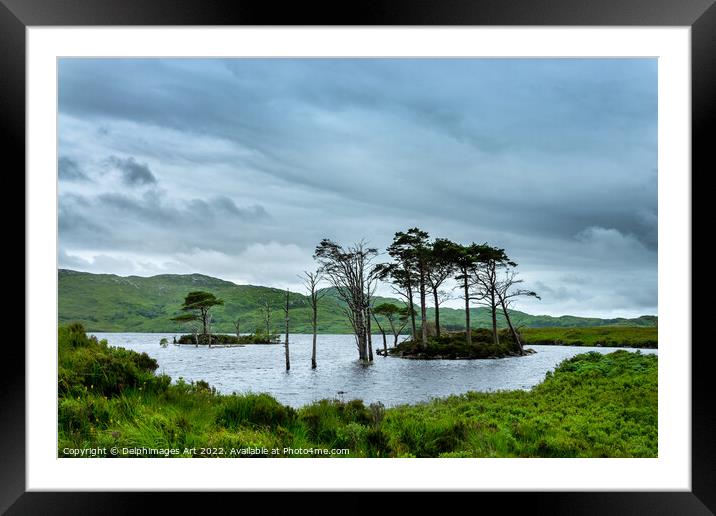 Highlands, Scotland - Lochside view, Loch Assynt Framed Mounted Print by Delphimages Art