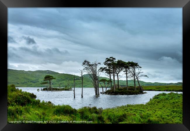 Highlands, Scotland - Lochside view, Loch Assynt Framed Print by Delphimages Art