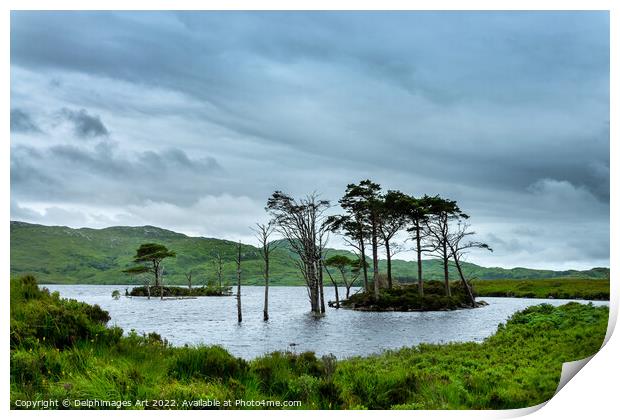 Highlands, Scotland - Lochside view, Loch Assynt Print by Delphimages Art