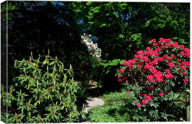 A quiet place to sit  among rhododendrons at the D Canvas Print by Peter Wiseman