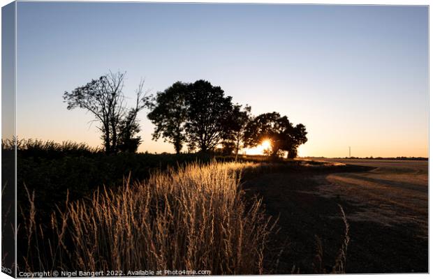 Sparrow Lane Sunset Canvas Print by Nigel Bangert