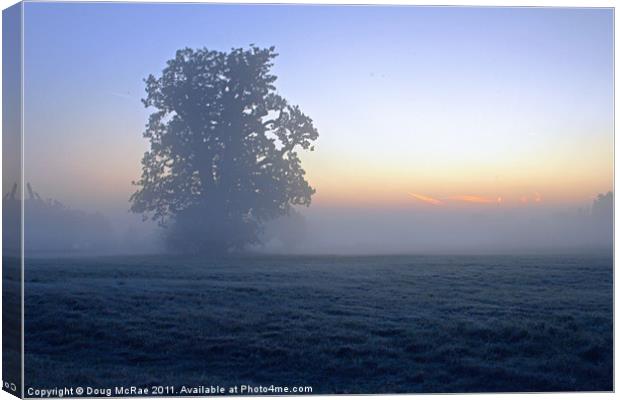 Oak in the mist Canvas Print by Doug McRae