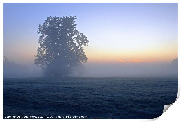 Oak in the mist Print by Doug McRae