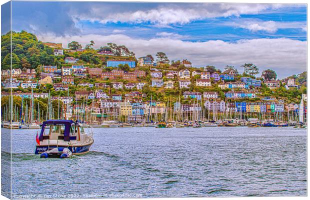 Serenity on the River Dart Canvas Print by Ian Stone