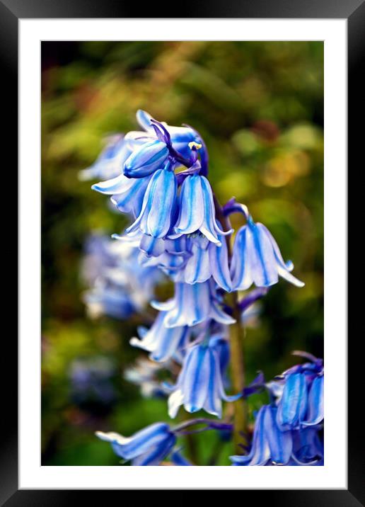A Serene Sea of Blue Framed Mounted Print by Andy Evans Photos