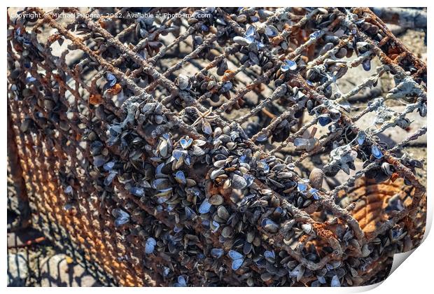 Rusty and damaged shopping cart found in the port of Kiel in Ger Print by Michael Piepgras