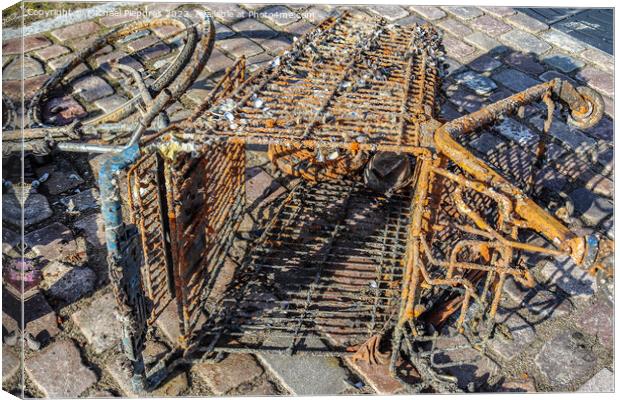 Rusty and damaged shopping cart found in the port of Kiel in Ger Canvas Print by Michael Piepgras