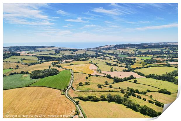 Dorset viewed from the sky. Print by Philip Gough