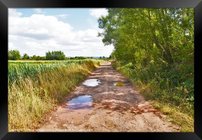 A drove through the Levels in Somerset Framed Print by Philip Gough