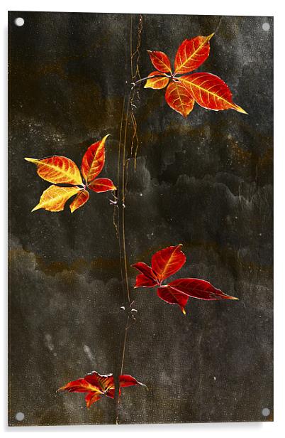Autumn Leaves textured Print Acrylic by Darren Burroughs
