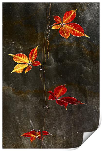 Autumn Leaves textured Print Print by Darren Burroughs