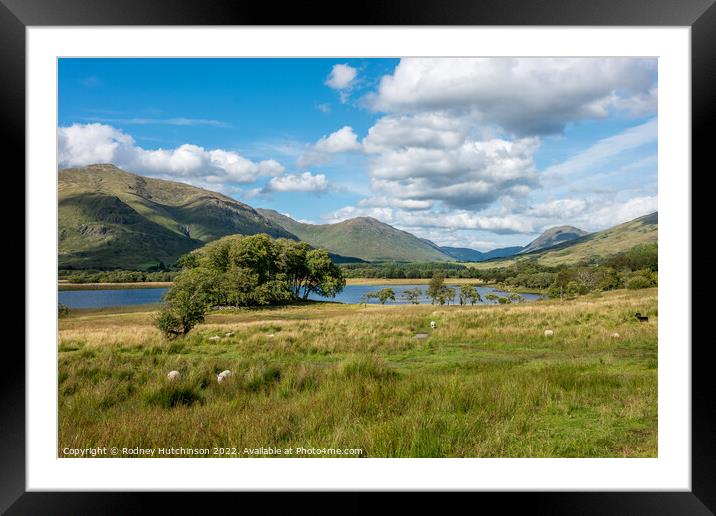 Majestic Scottish Highlands Framed Mounted Print by Rodney Hutchinson
