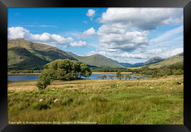 Majestic Scottish Highlands Framed Print by Rodney Hutchinson