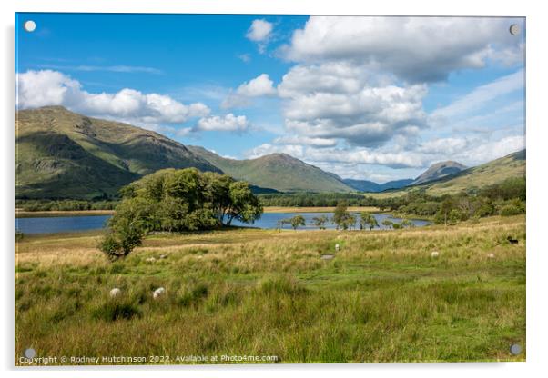 Majestic Scottish Highlands Acrylic by Rodney Hutchinson