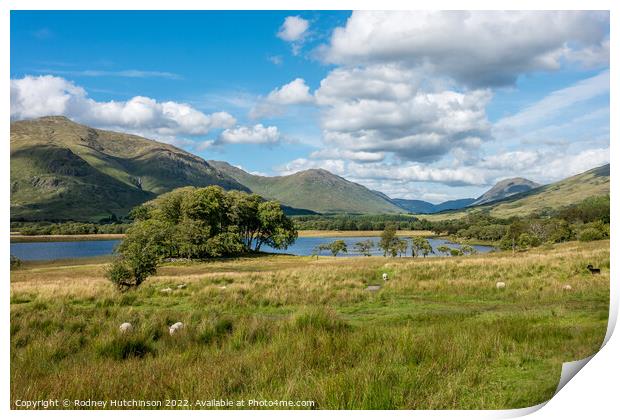 Majestic Scottish Highlands Print by Rodney Hutchinson