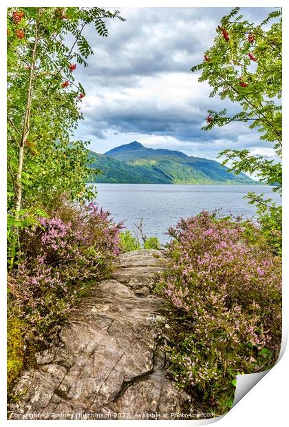 Majestic Ben Lomond Print by Rodney Hutchinson