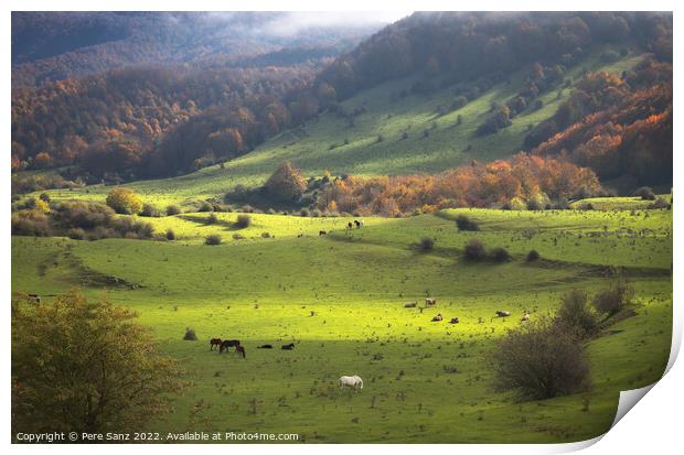 Beautiful Autumn Foggy Landscape in Garrotxa, Catalonia Print by Pere Sanz