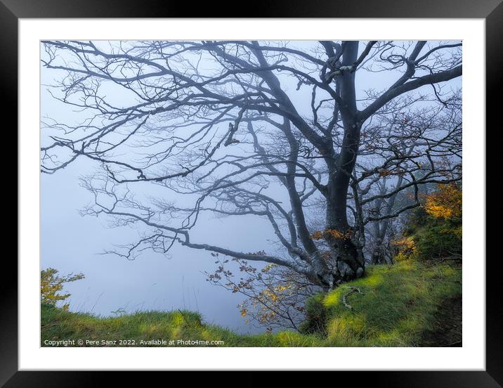 Autumn Scene of a Tree in the Fog Framed Mounted Print by Pere Sanz