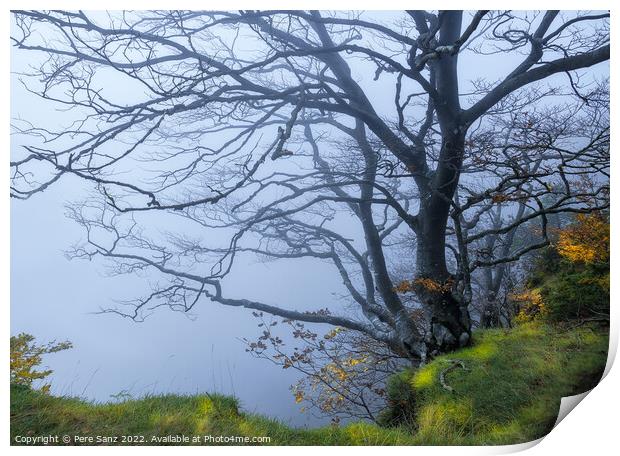 Autumn Scene of a Tree in the Fog Print by Pere Sanz