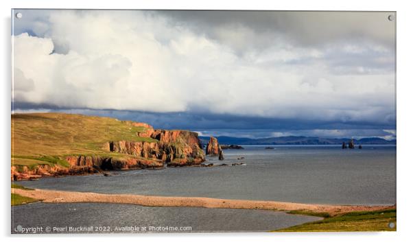 Eshaness Drongs Shetland Isles Coastline Acrylic by Pearl Bucknall