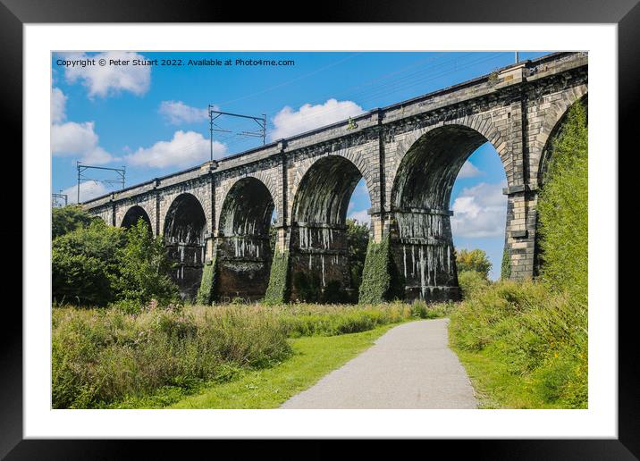 The Sankey Viaduct is a railway viaduct in North West England. Framed Mounted Print by Peter Stuart