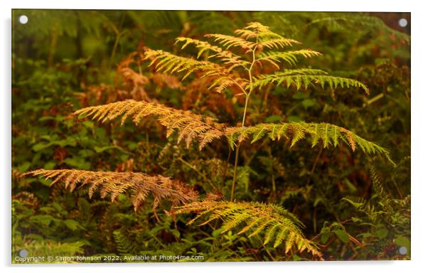Autumn/Summer  /fern? Acrylic by Simon Johnson