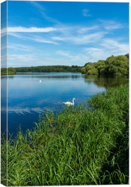 Staunton Harold Reservoir Canvas Print by Photimageon UK