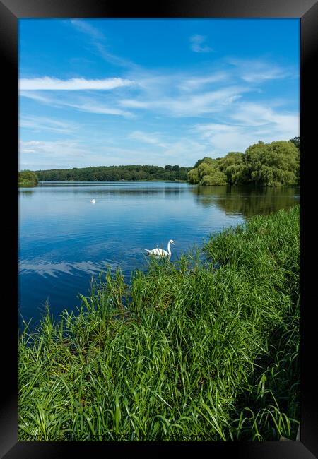 Staunton Harold Reservoir Framed Print by Photimageon UK