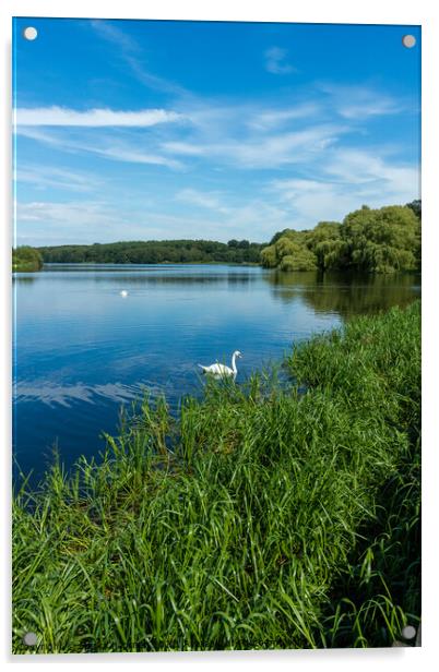 Staunton Harold Reservoir Acrylic by Photimageon UK