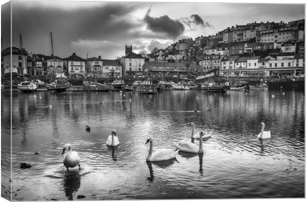 Serene Beauty at Brixham Harbour Canvas Print by Paul F Prestidge