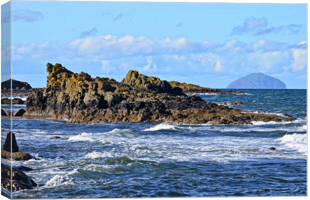 Rocky coastline and Ailsa Craig Canvas Print by Allan Durward Photography