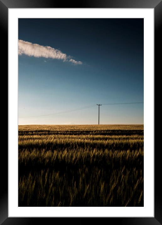 Cornfield at dusk with telegraph pole Framed Mounted Print by Phil Crean