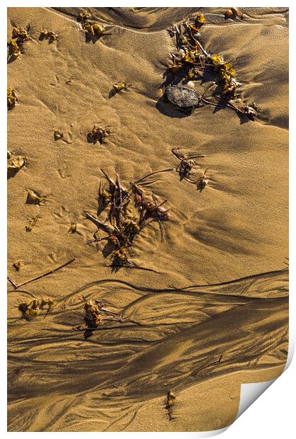 Abstract marks in the sand Print by Phil Crean