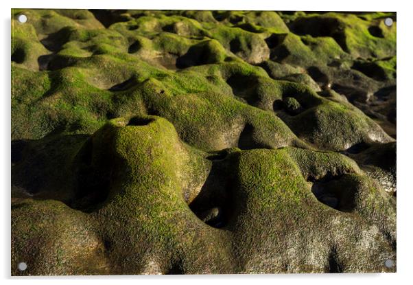 Green algae on rock formation, El Medano, Tenerife Acrylic by Phil Crean